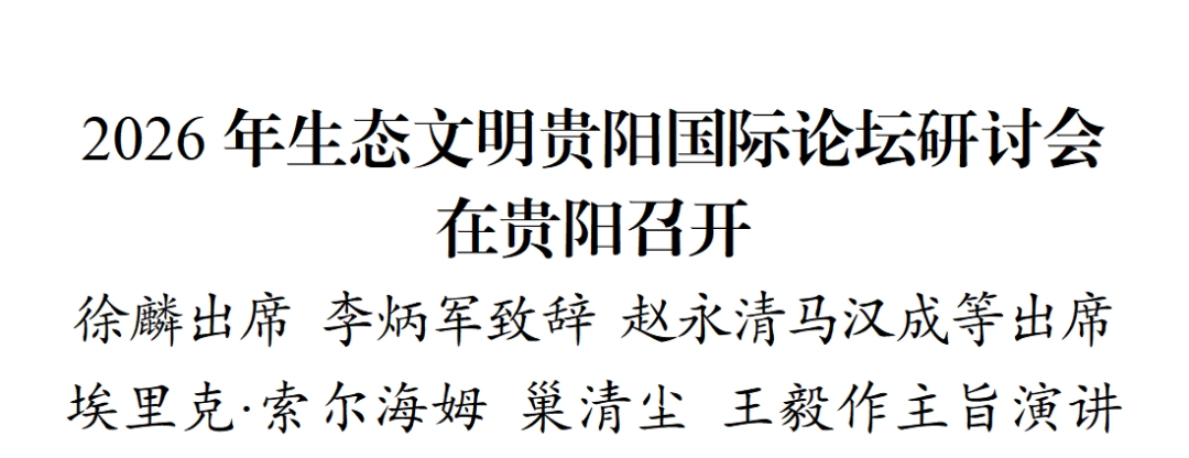 11.webp