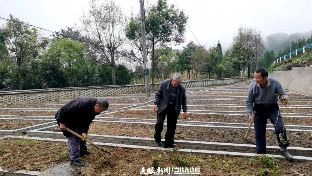 17623396319570.jpg 5254b276be87294e0afbf67fed008c06.jpg